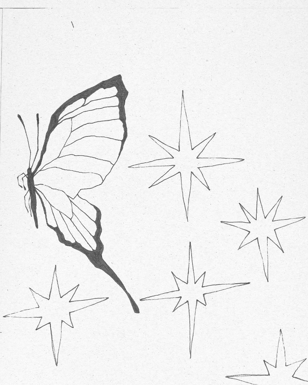 Fly Ljus